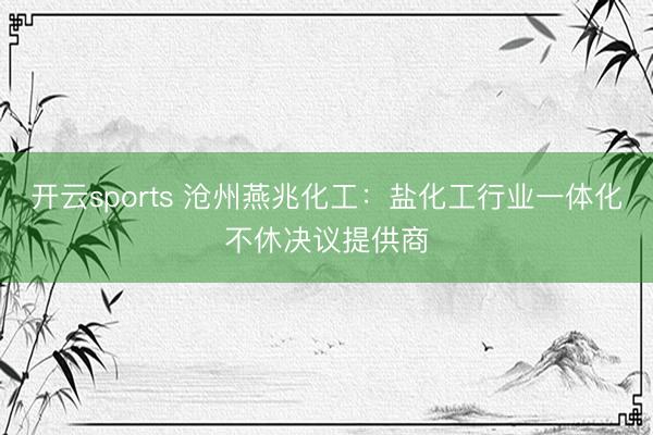 开云sports 沧州燕兆化工:盐化工行业一体化不休决议提供商